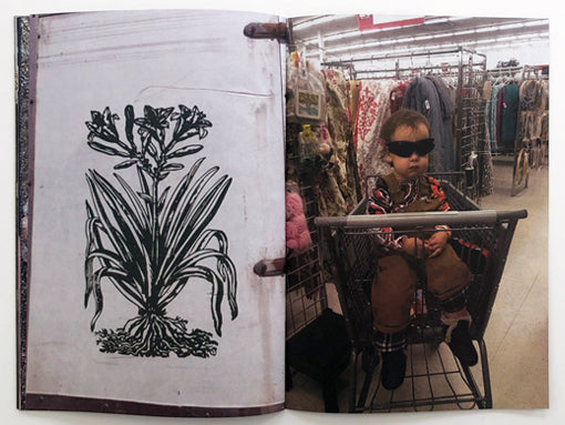 INNEN –– Welcome Stranger: Peter Sutherland (New York, USA)