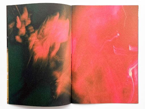 INNEN –– Until Next Time: Finley Flint