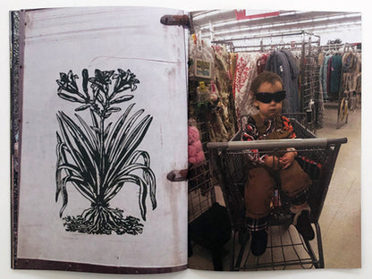 INNEN –– Welcome Stranger: Peter Sutherland (New York, USA)