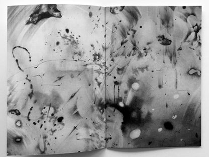 INNEN ––  Imaginary Crows: Sakura Kondo (Tokyo, Japan)