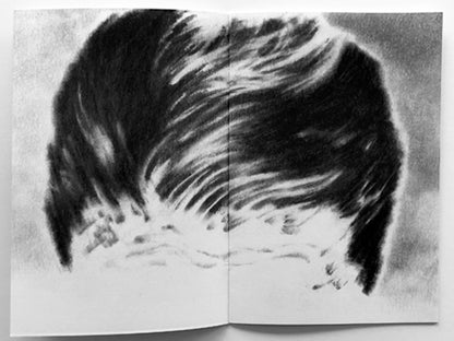 INNEN ––  Imaginary Crows: Sakura Kondo (Tokyo, Japan)