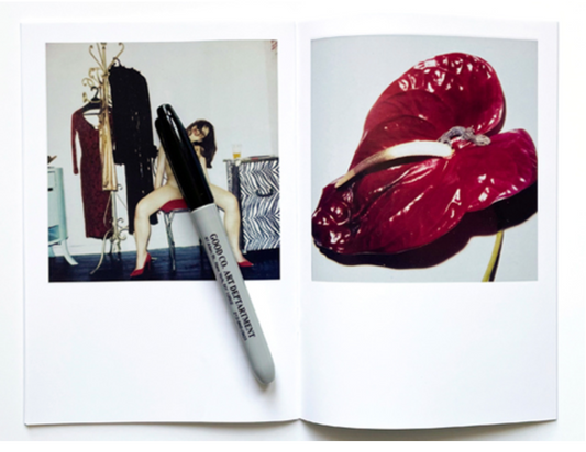 INNEN –– Untitled: Nobuyoshi Araki
